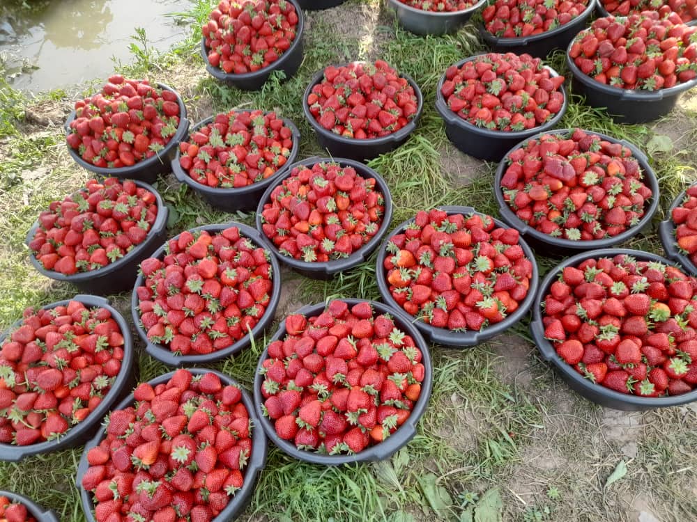photo_2024-07-05_18-27-07