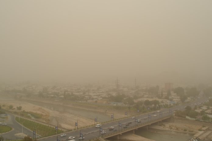 photo_2024-07-12_15-39-05