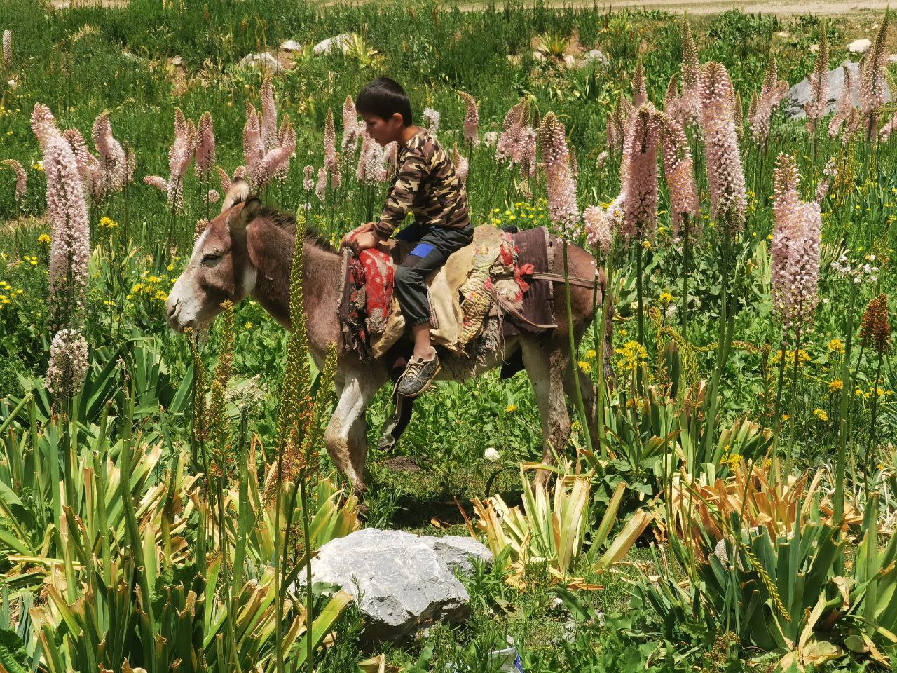 photo_2024-07-16_18-27-14