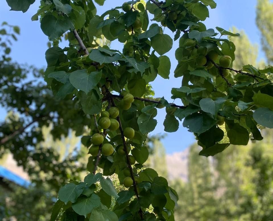 photo_2024-07-19_19-17-06
