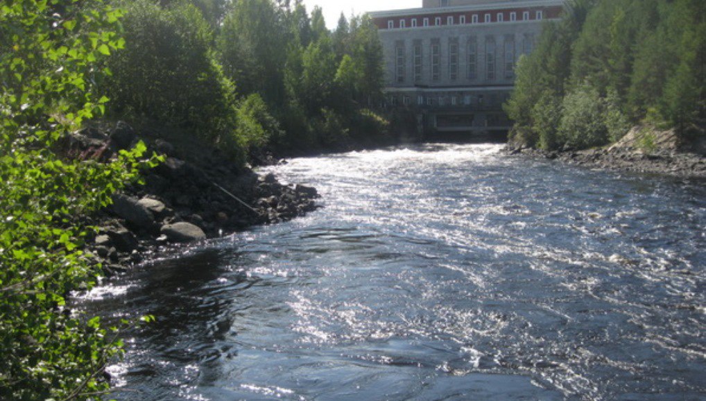 photo_2024-07-25_16-28-16