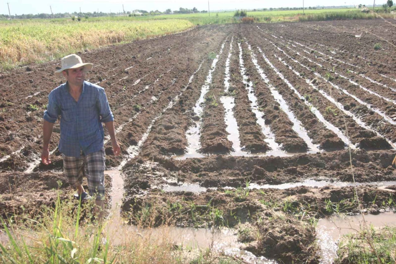 photo_2024-07-25_18-20-45
