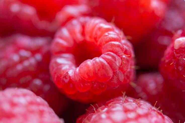 rasberry