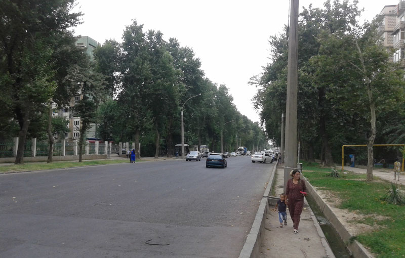 ulisa-mayakovskogo-dushanbe