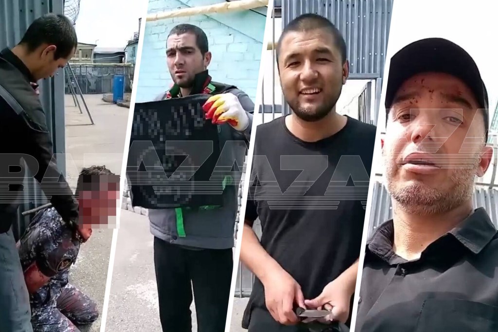 dlord-pic4_zoom-1500x1500-475