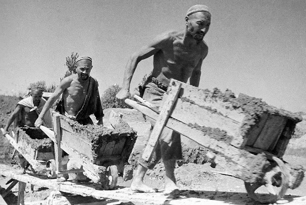 Фото № 4 Фото № 4