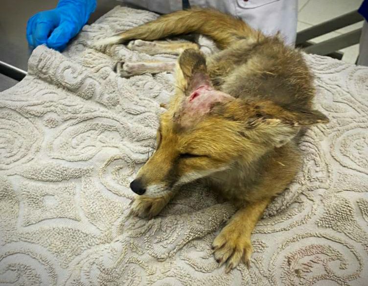 photo_2024-08-15_17-39-06