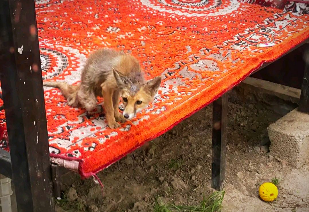 photo_2024-08-15_17-39-08