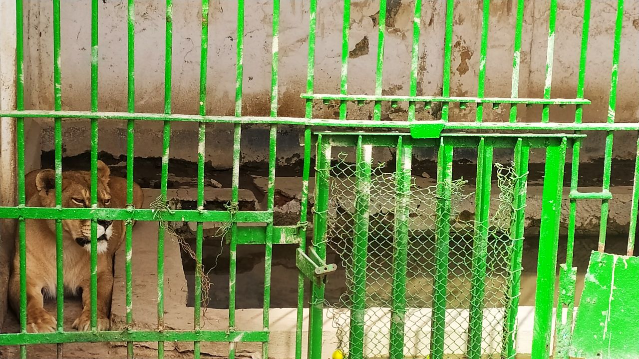 photo_2024-08-19_17-13-08