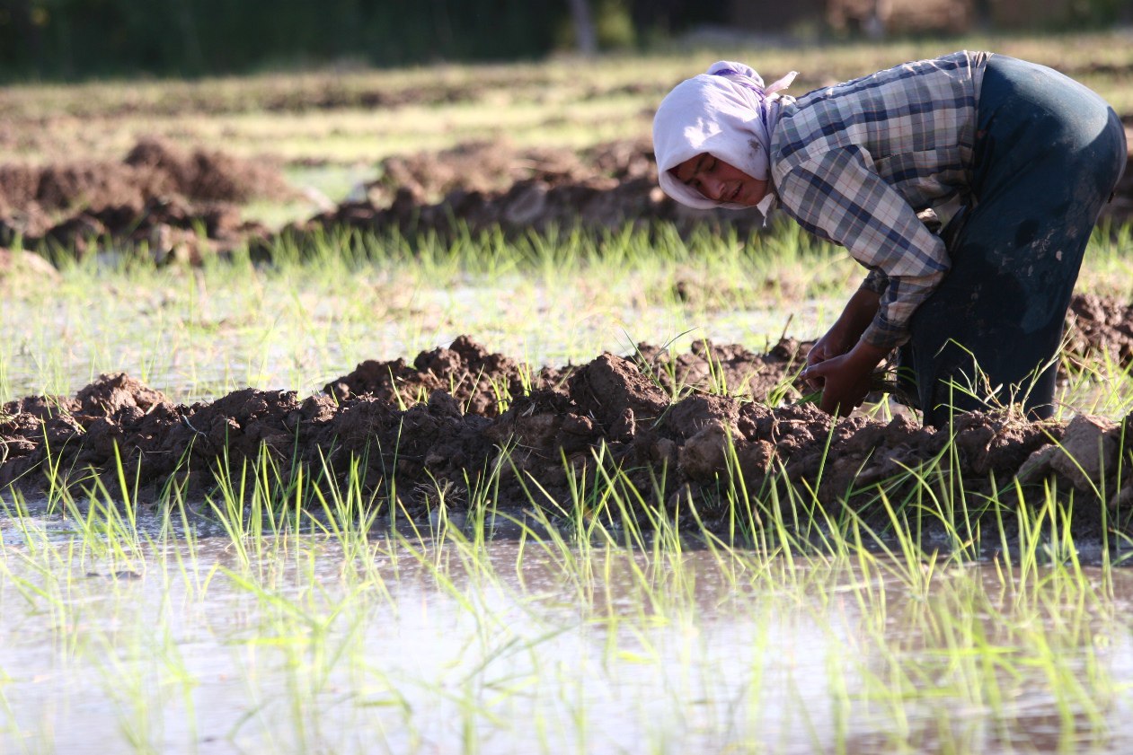 photo_2024-08-23_11-52-38