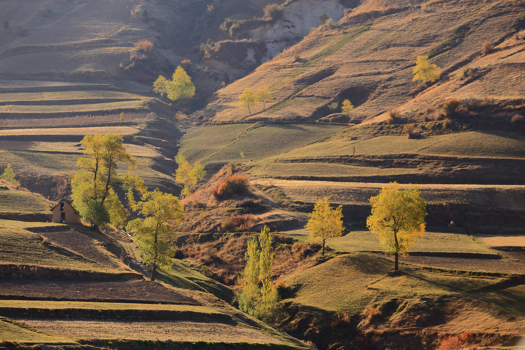 tild3331-6238-4632-b366-626233336131__img-16