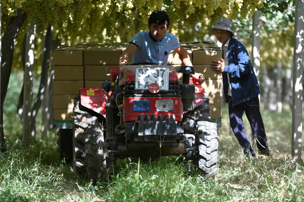 photo_2024-09-03_10-16-10