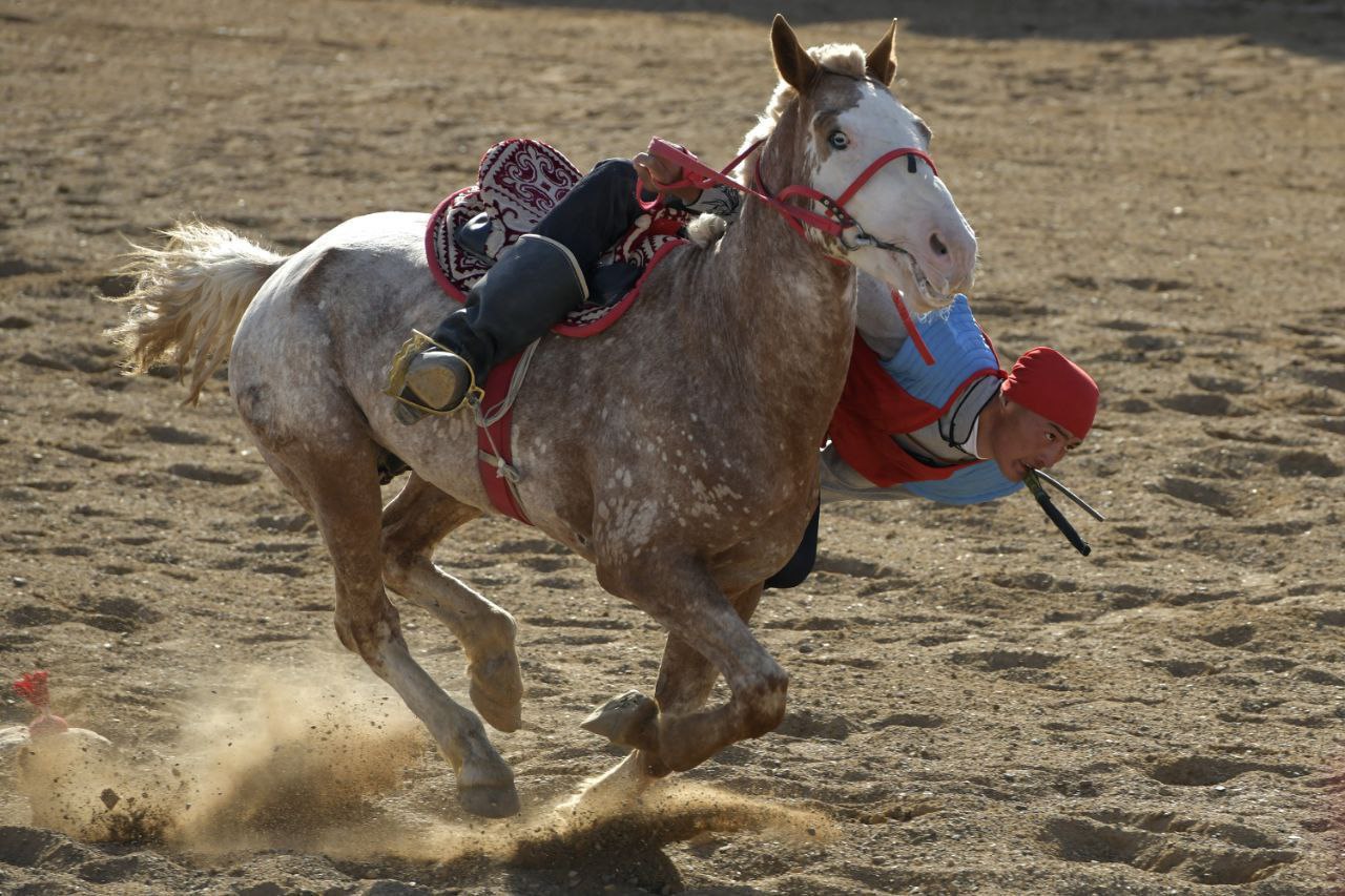 photo_2024-09-17_11-49-36