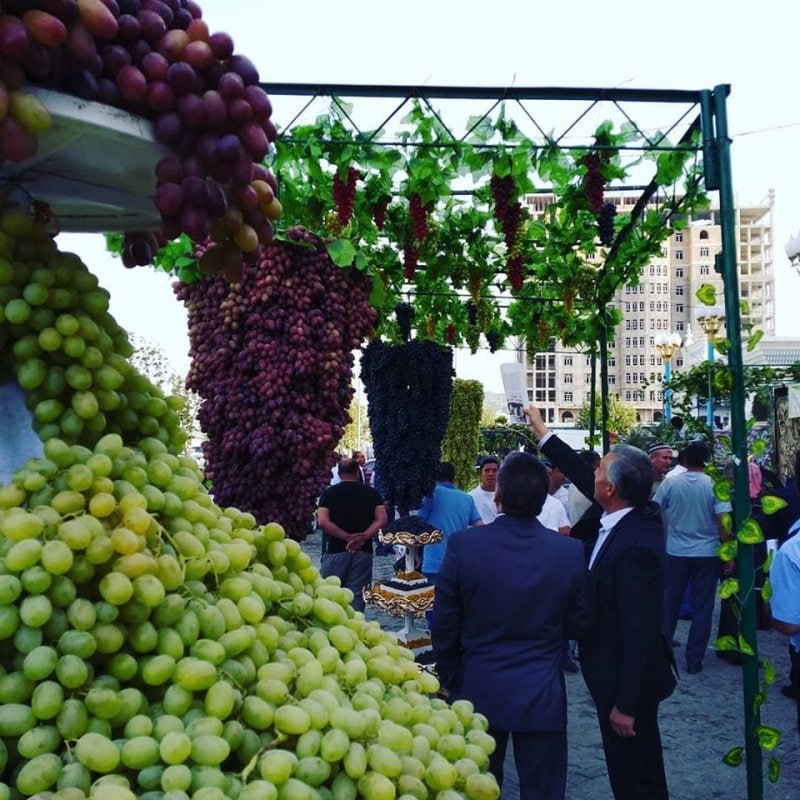 photo_2024-09-25_16-27-17