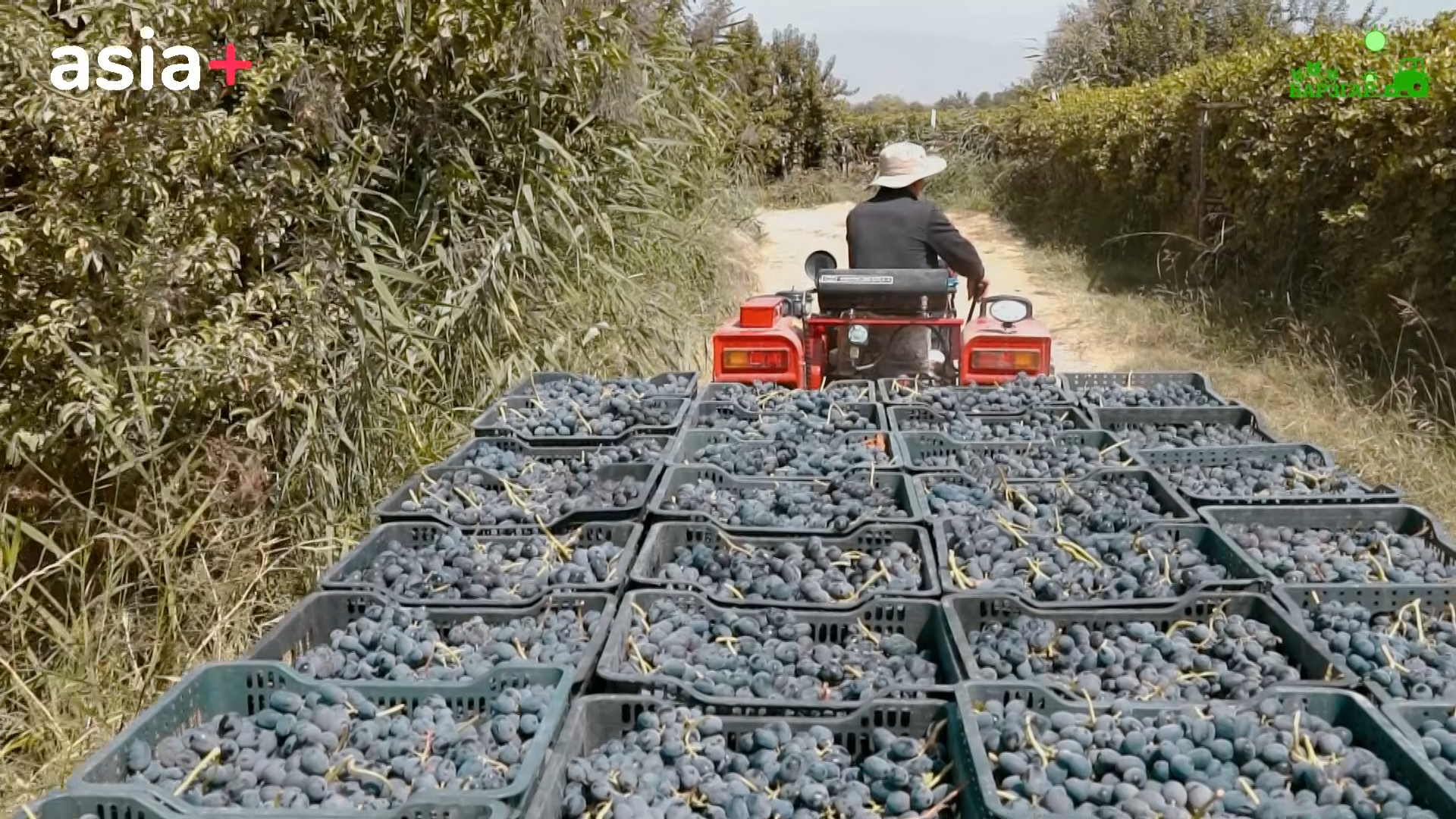 image_2024-10-07_10-53-35