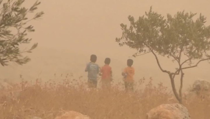 photo_2024-10-15_12-02-08