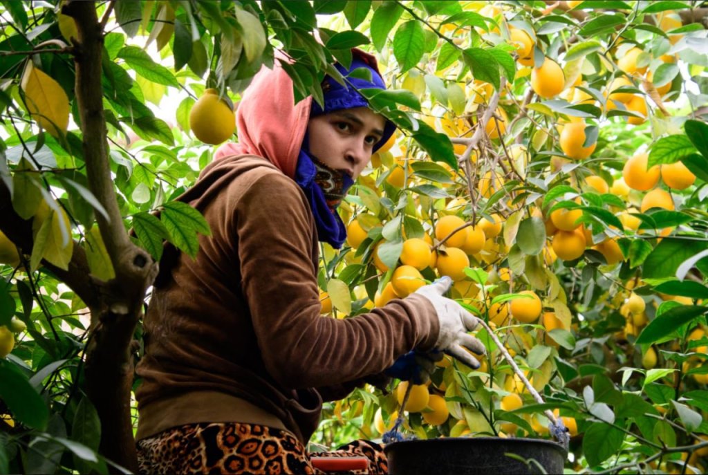 photo_2024-10-16_18-00-44