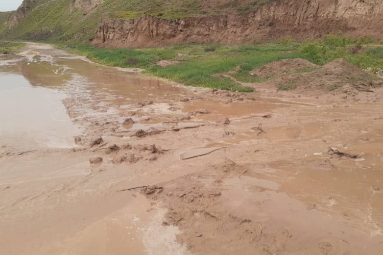 photo_2024-10-28_17-11-44