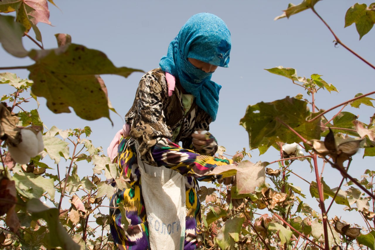 photo_2024-10-30_10-00-29