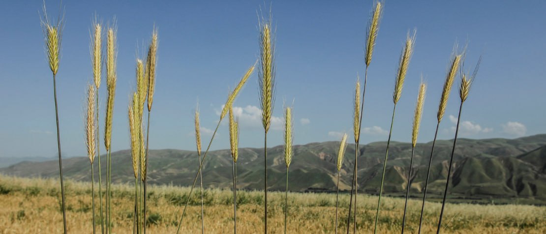 photo_2024-10-31_10-05-39