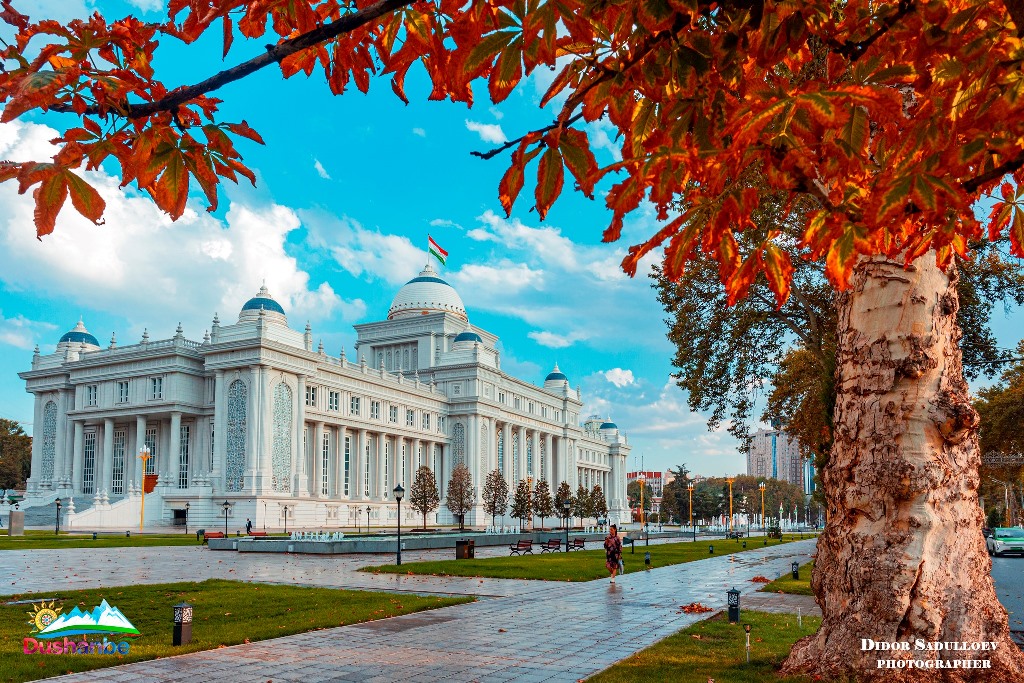 465245733_8465323033596491_6424377573157332788_n