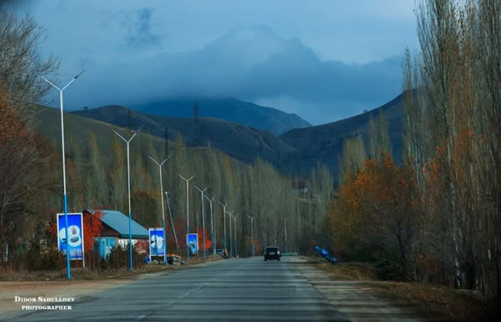 468296822_8589550707840389_6270150640628381789_n