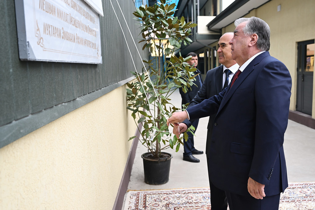 54124850433_f6d899bd75_b