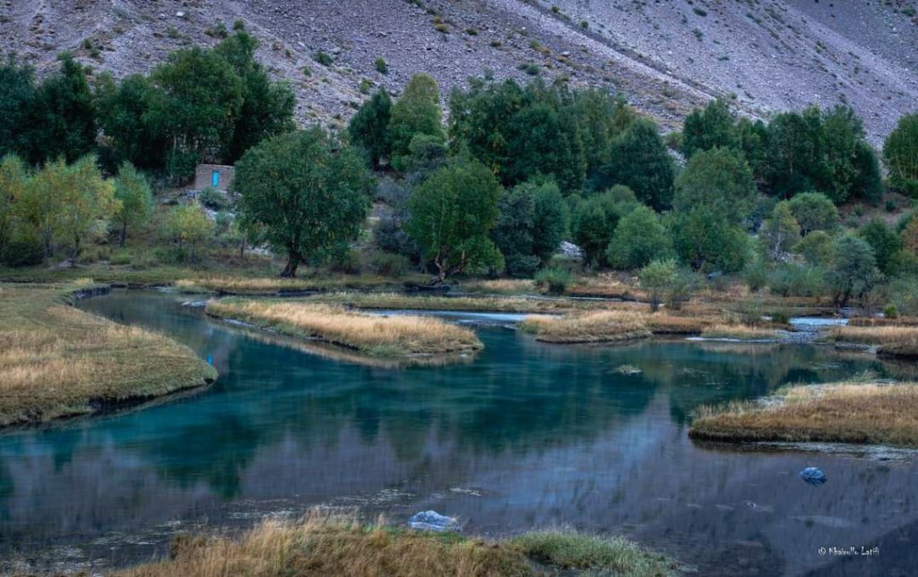 photo_2024-11-06_07-42-02