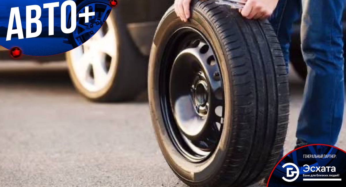 photo_2024-11-08_11-06-41