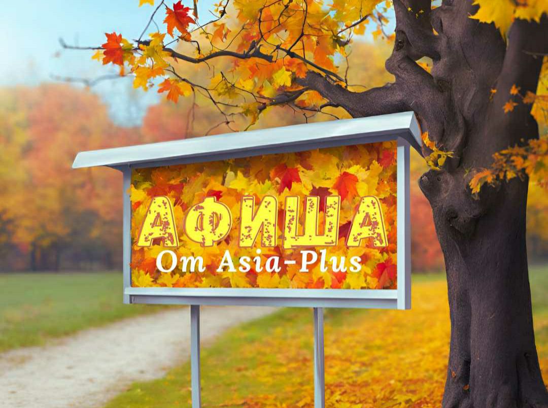 photo_2024-11-08_12-44-35