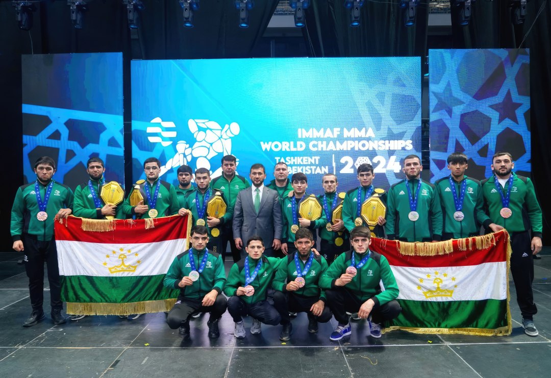 photo_2024-11-11_16-41-01