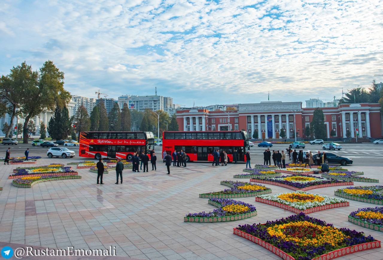 photo_2024-11-12_18-26-38