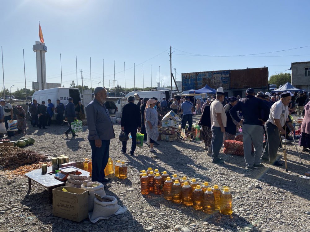 photo_2024-11-13_15-00-50