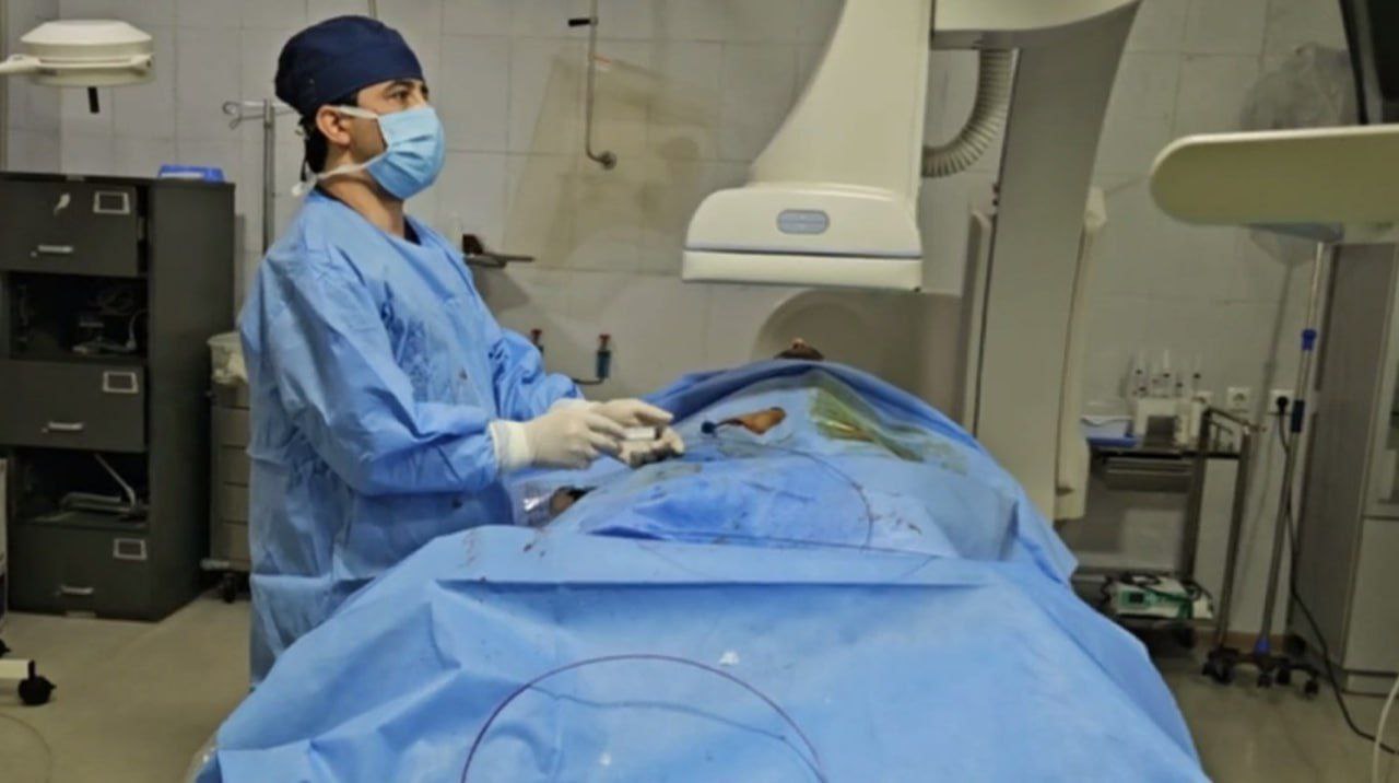 photo_2024-11-13_17-41-50