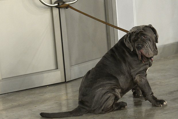 photo_2024-11-19_10-49-26