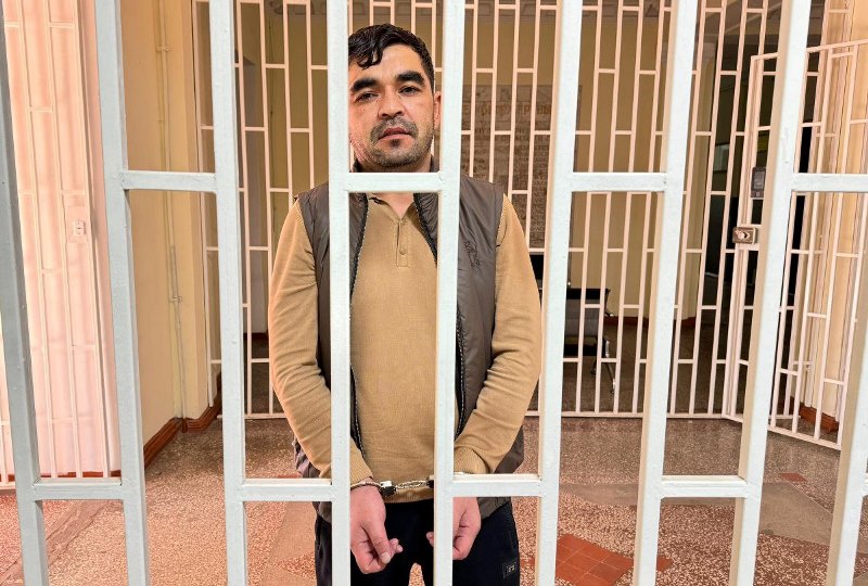 photo_2024-11-26_16-08-34