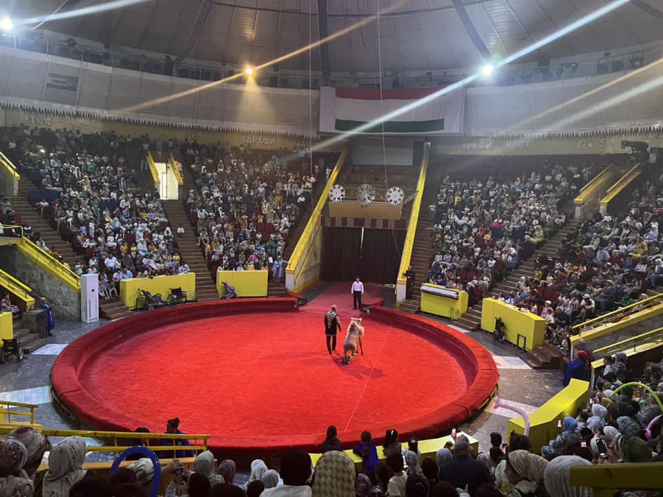 447518615_904238668384060_674691121623366829_n