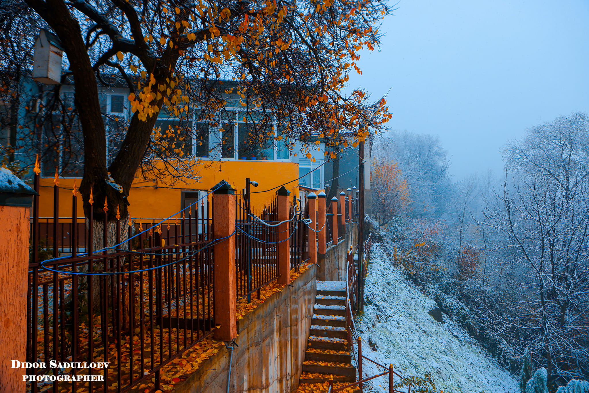 468756490_8620868461375280_7095172709964243972_n