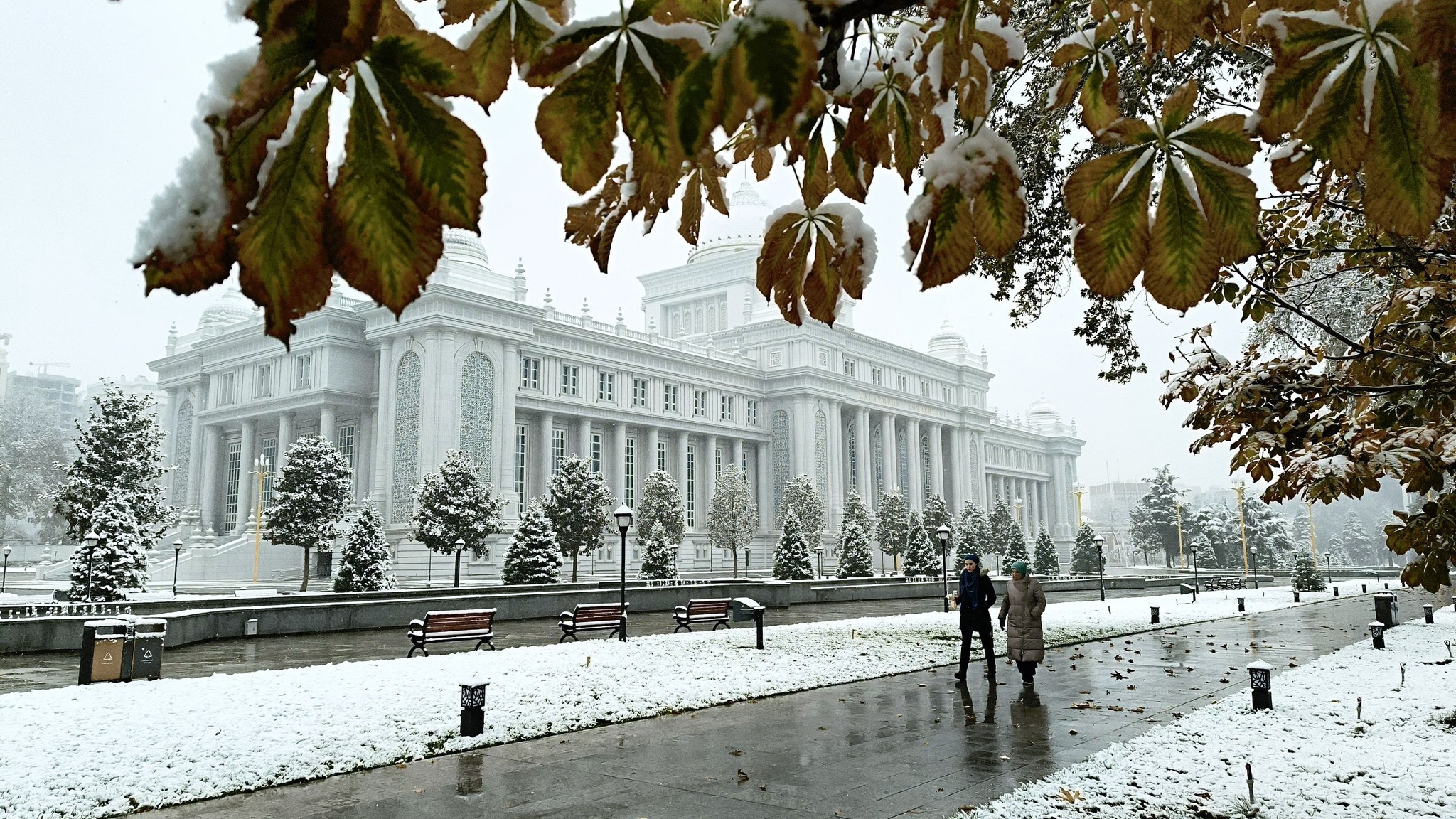 469742870_3528578750768590_1247753270149984826_n