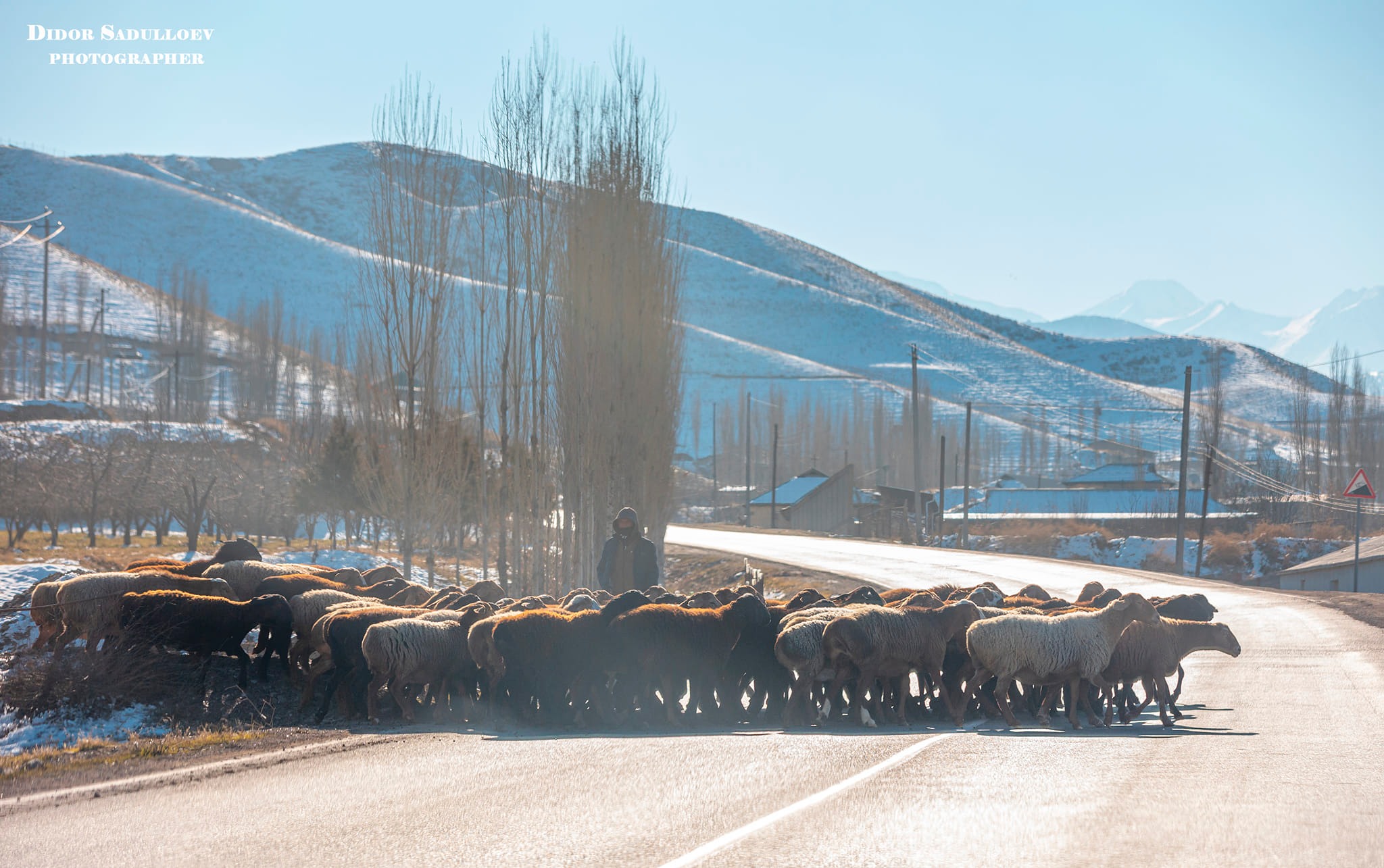 470238577_8705960356199423_6081055763336893788_n