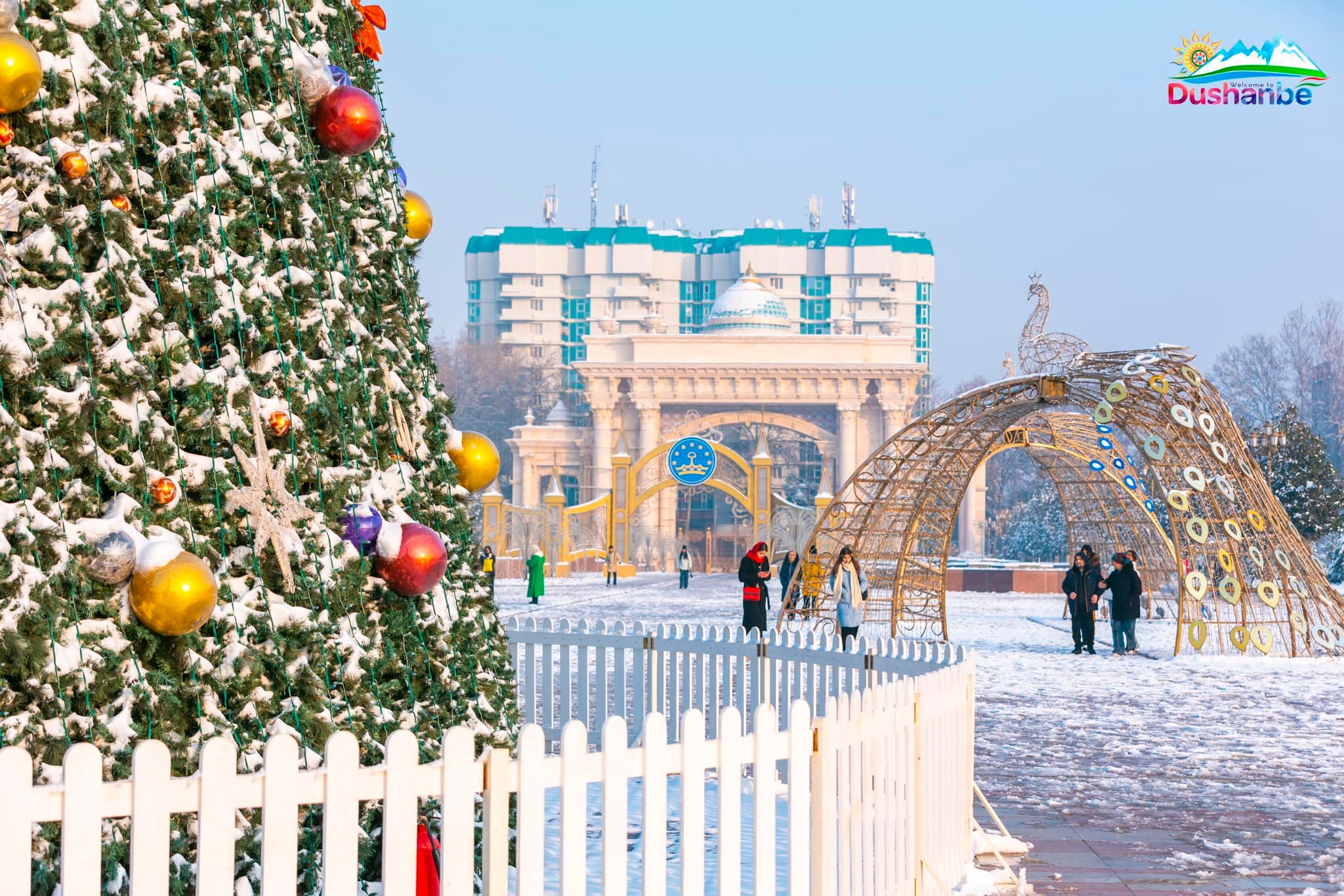 471366103_919981330266523_1644307950888161762_n