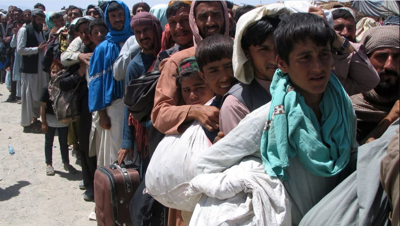 photo_2024-12-17_09-51-26