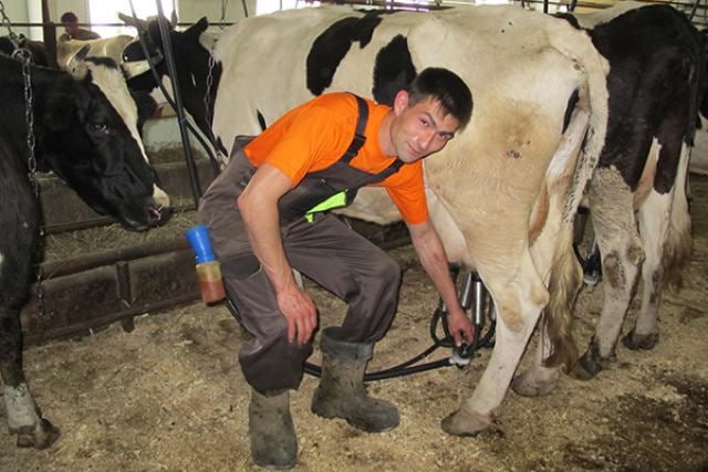 photo_2024-12-27_11-06-24