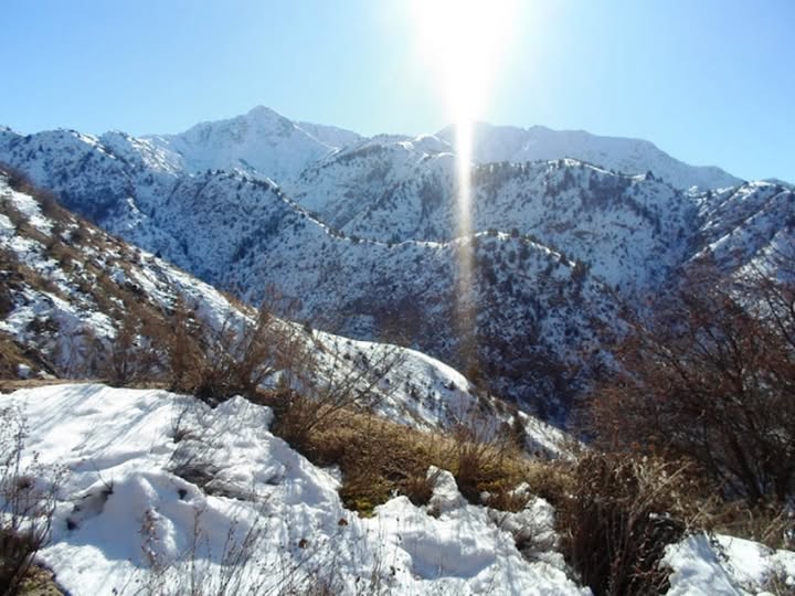 472107153_1001575458681724_1959308698247482854_n