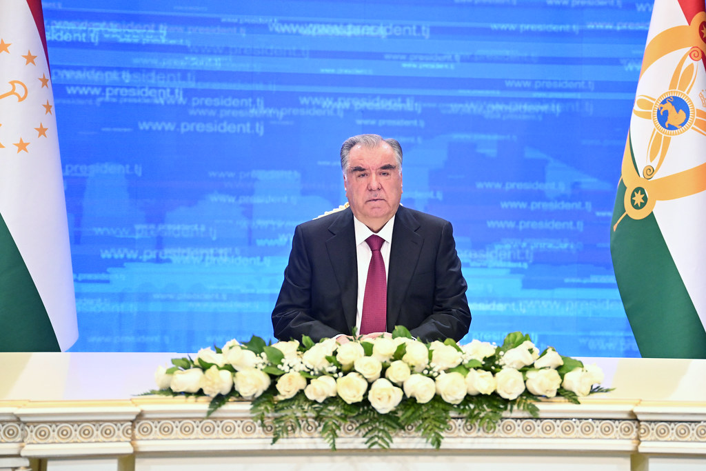 53433007371_5374741da3_b