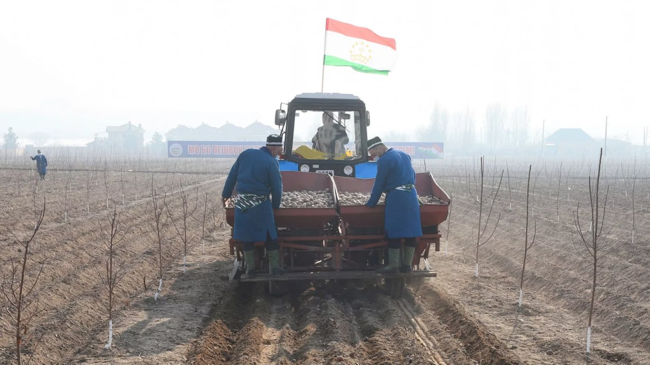 photo_2025-01-13_09-47-36