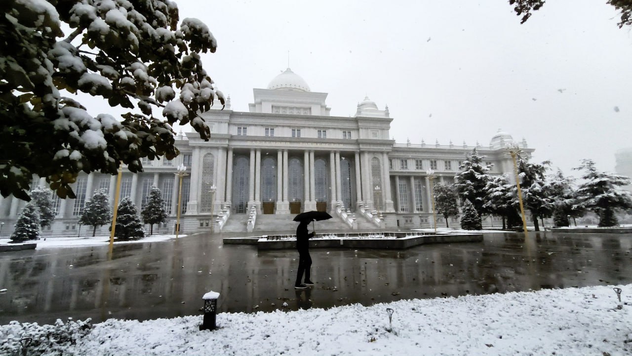 photo_2025-01-17_11-47-23