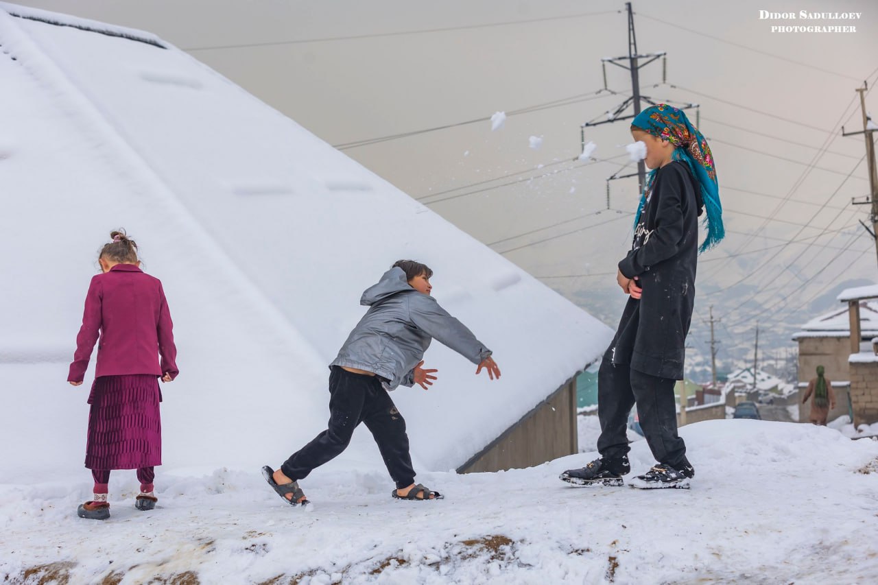 photo_2025-01-17_18-07-44