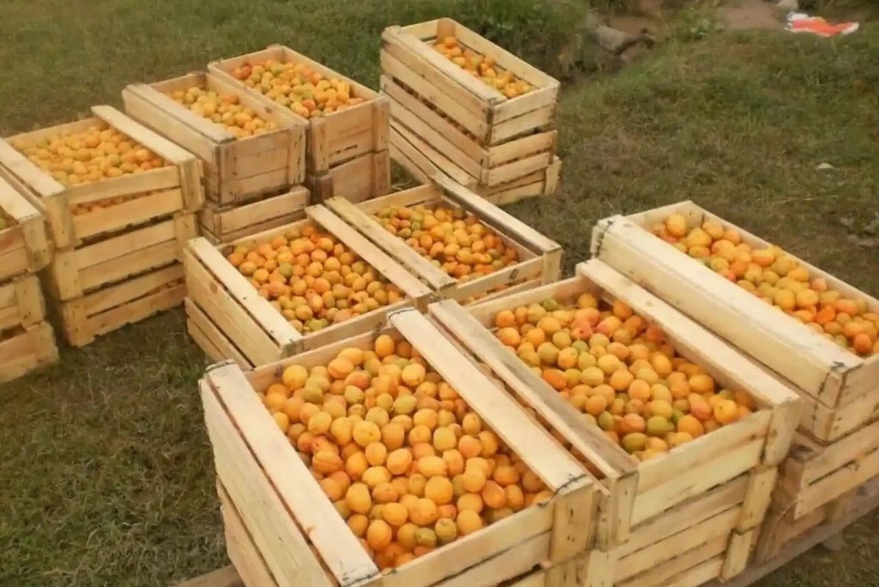 photo_3_2024-12-13_09-50-16