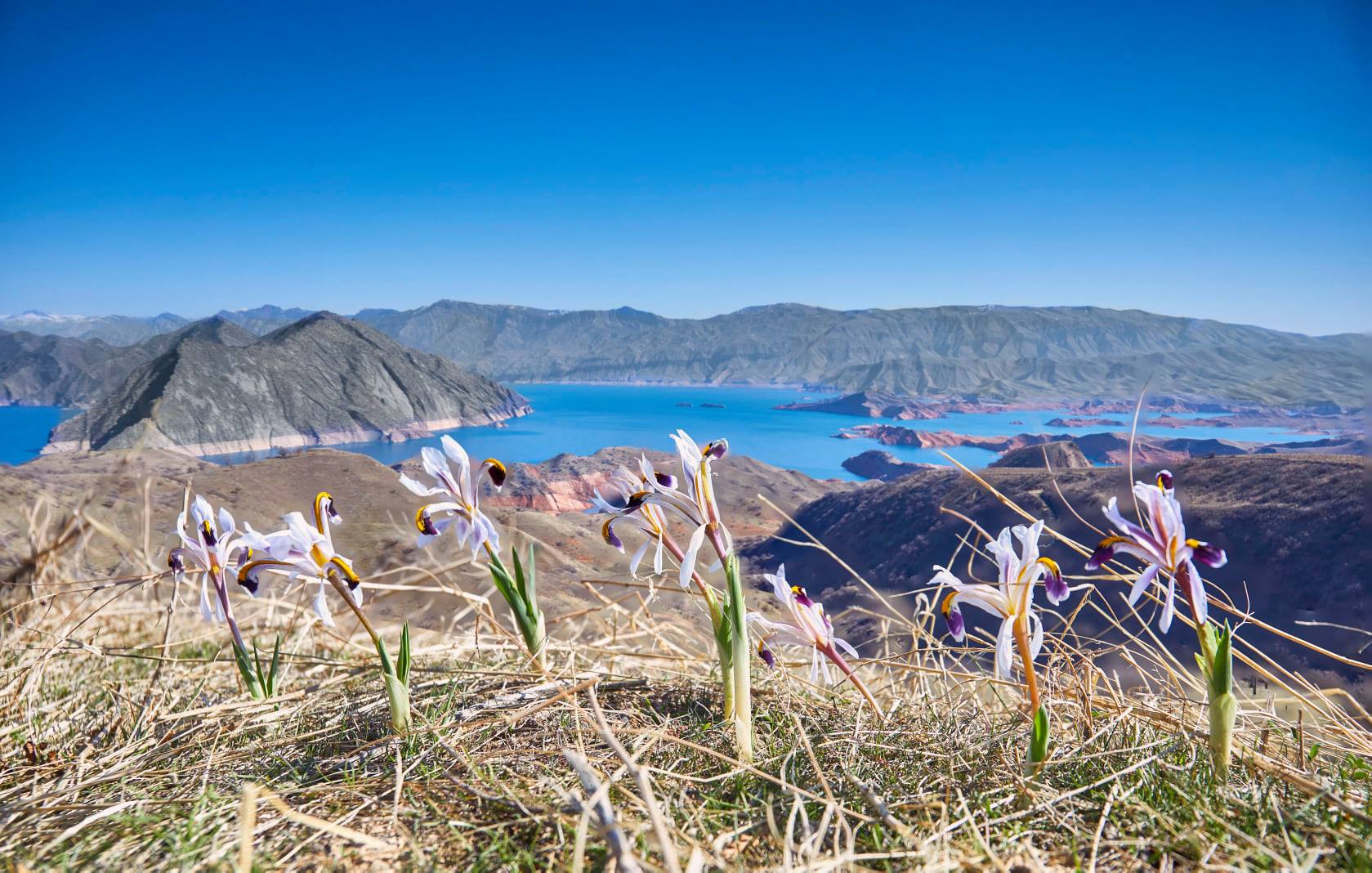 151636479_1828975230584775_4284374582301920311_n